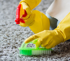 PANEL GÖRÜNTÜLERİ